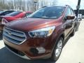 2018 Cinnamon Glaze Ford Escape SE 4WD  photo #1