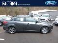 Magnetic - Focus SE Sedan Photo No. 1