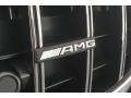  2018 AMG GT S Coupe Logo