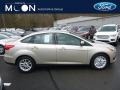 White Gold - Focus SE Sedan Photo No. 1