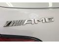 2018 Mercedes-Benz AMG GT C Roadster Badge and Logo Photo