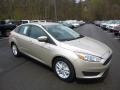 White Gold - Focus SE Sedan Photo No. 3