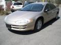 Light Almond Pearl Metallic - Intrepid SE Photo No. 10