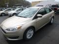 White Gold - Focus SE Sedan Photo No. 5