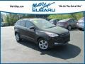 Tuxedo Black Metallic 2013 Ford Escape SE 1.6L EcoBoost