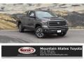 Magnetic Gray Metallic - Tundra SR5 Double Cab 4x4 Photo No. 1