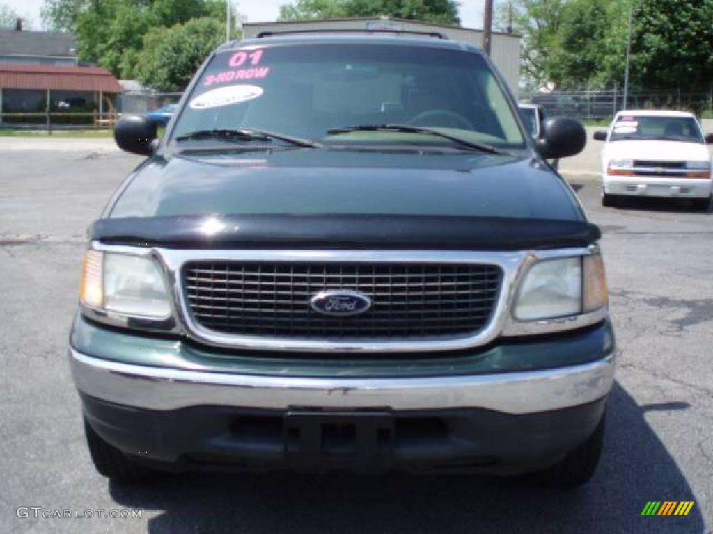 2001 Expedition XLT - Dark Highland Green Metallic / Medium Parchment photo #3