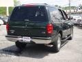 2001 Dark Highland Green Metallic Ford Expedition XLT  photo #6
