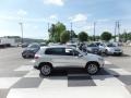 Reflex Silver Metallic - Tiguan SE Photo No. 3