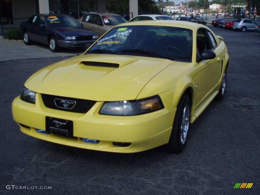 2002 Mustang V6 Coupe - Zinc Yellow / Dark Charcoal photo #3