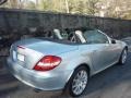 2005 Diamond Silver Metallic Mercedes-Benz SLK 350 Roadster  photo #5