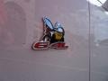 White Knuckle - Challenger R/T Scat Pack Photo No. 7