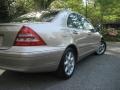 2001 Desert Silver Metallic Mercedes-Benz C 320 Sedan  photo #20