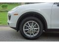 2018 Porsche Cayenne Standard Cayenne Model Wheel and Tire Photo