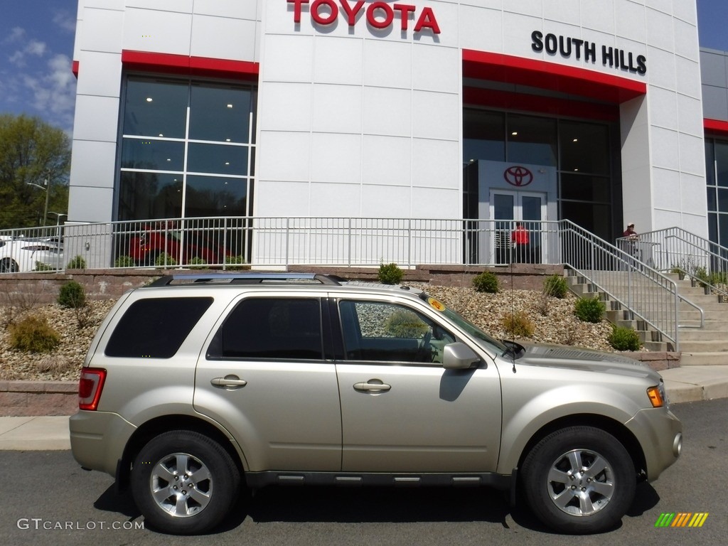 2011 Escape Limited V6 4WD - Gold Leaf Metallic / Camel photo #2