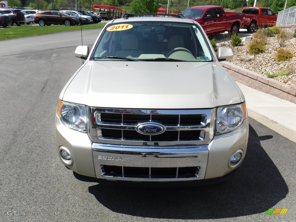 2011 Escape Limited V6 4WD - Gold Leaf Metallic / Camel photo #5