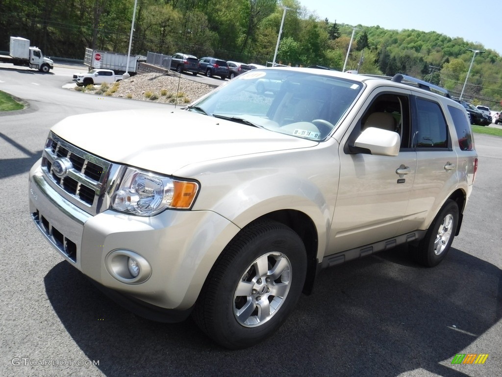 2011 Escape Limited V6 4WD - Gold Leaf Metallic / Camel photo #6
