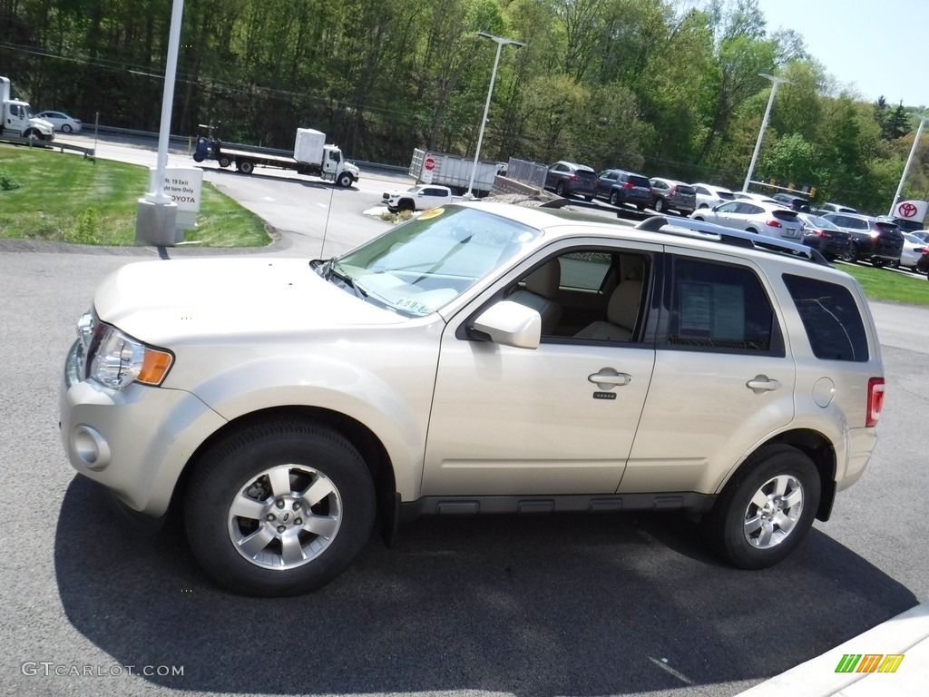 2011 Escape Limited V6 4WD - Gold Leaf Metallic / Camel photo #7