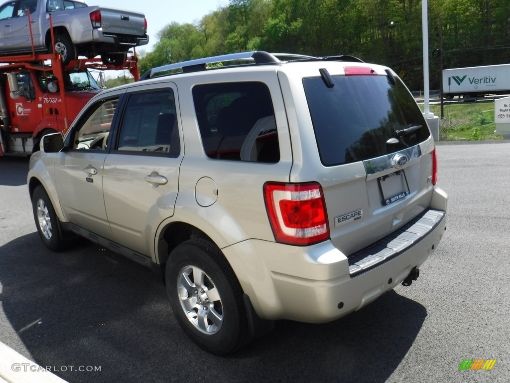 2011 Escape Limited V6 4WD - Gold Leaf Metallic / Camel photo #9
