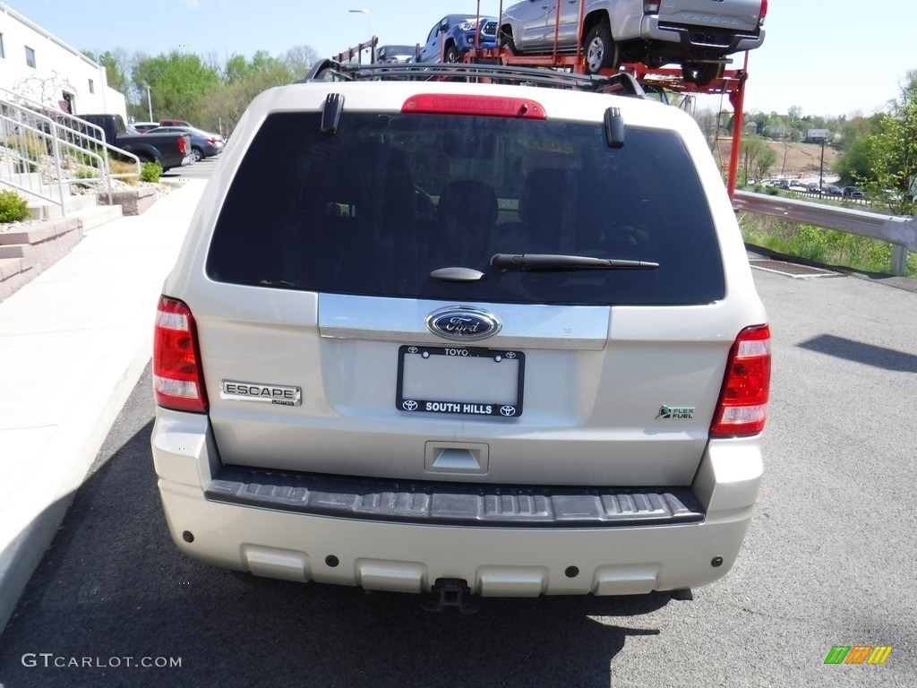 2011 Escape Limited V6 4WD - Gold Leaf Metallic / Camel photo #10