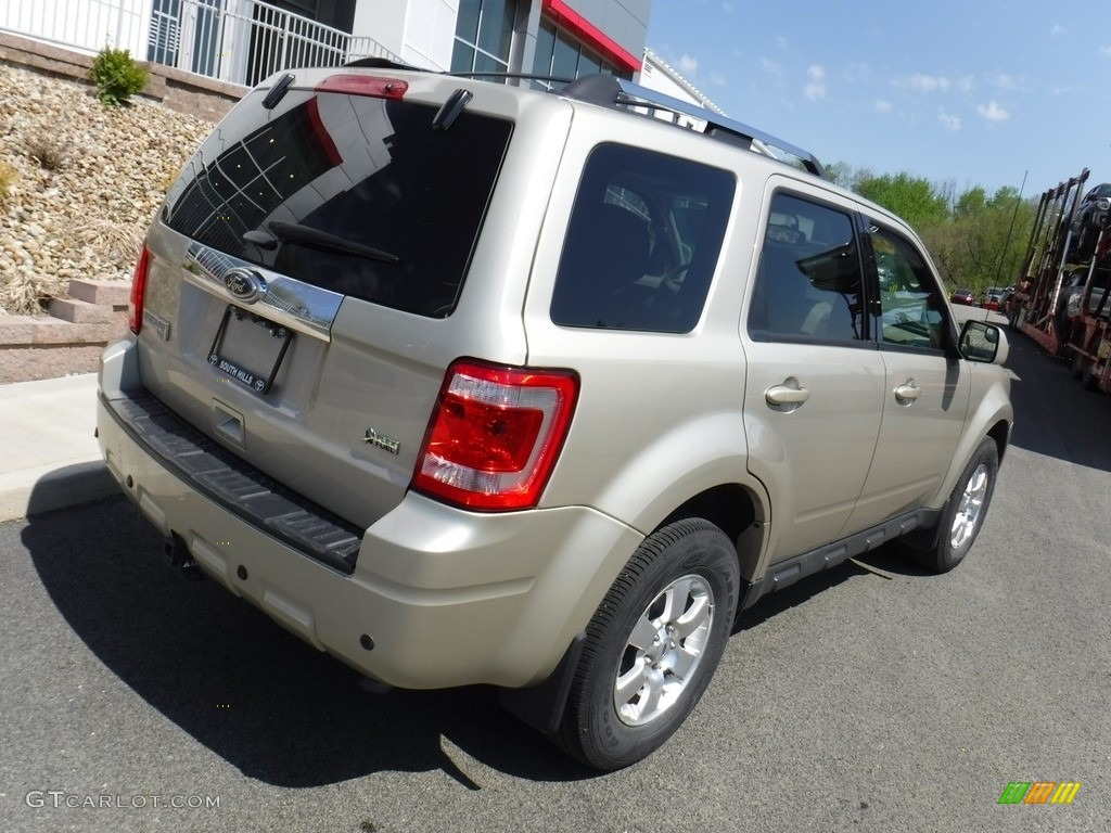 2011 Escape Limited V6 4WD - Gold Leaf Metallic / Camel photo #12