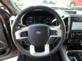 Magnetic - F350 Super Duty Lariat Crew Cab 4x4 Photo No. 15