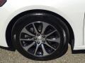 Bellanova White Pearl - TLX 2.4 Photo No. 28