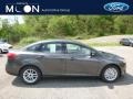 Magnetic - Focus SE Sedan Photo No. 1