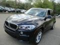 Carbon Black Metallic - X5 xDrive35i Photo No. 7