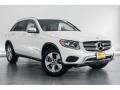 Polar White - GLC 300 Photo No. 12