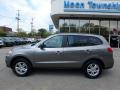 Mineral Gray - Santa Fe GLS AWD Photo No. 2