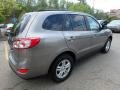 Mineral Gray - Santa Fe GLS AWD Photo No. 6