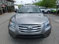 Mineral Gray - Santa Fe GLS AWD Photo No. 9