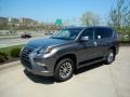 Nebula Gray Pearl 2018 Lexus GX 460 Luxury