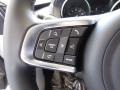 Ebony/Light Oyster Steering Wheel Photo for 2018 Jaguar F-PACE #127129189