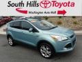 2013 Frosted Glass Metallic Ford Escape SEL 2.0L EcoBoost 4WD  photo #1