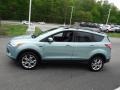 2013 Frosted Glass Metallic Ford Escape SEL 2.0L EcoBoost 4WD  photo #7