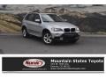 2007 Titanium Silver Metallic BMW X5 3.0si  photo #1