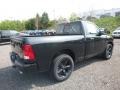 Brilliant Black Crystal Pearl - 1500 Express Regular Cab 4x4 Photo No. 5