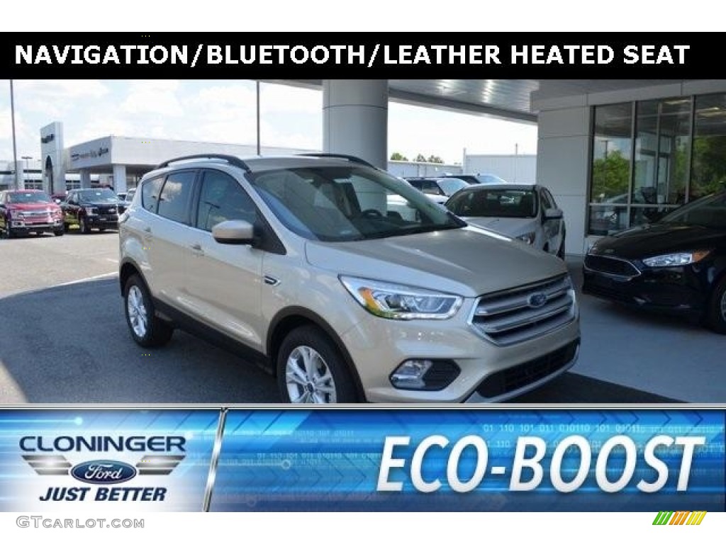 White Gold Ford Escape