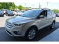 2018 White Gold Ford Escape SEL  photo #4