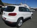 Candy White - Tiguan SE Photo No. 7