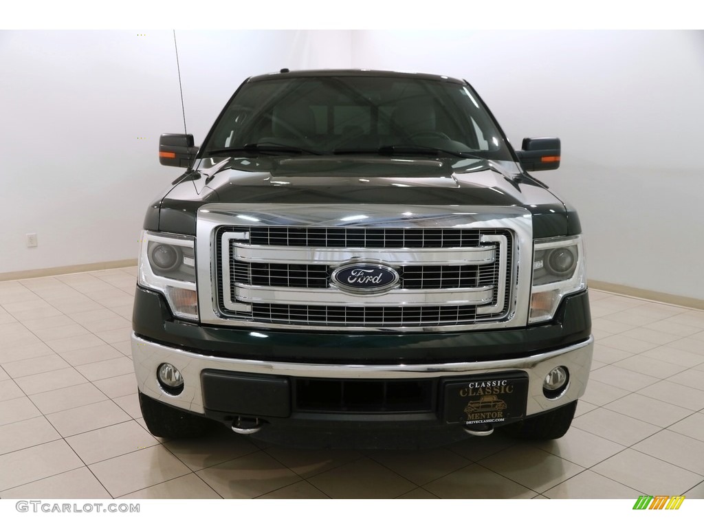 2014 F150 XLT SuperCrew 4x4 - Green Gem / Steel Grey photo #2