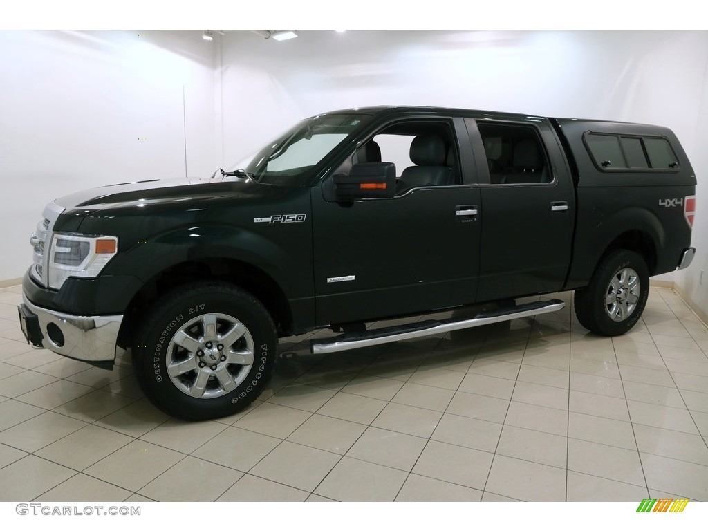 2014 F150 XLT SuperCrew 4x4 - Green Gem / Steel Grey photo #3