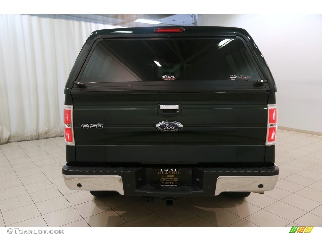 2014 F150 XLT SuperCrew 4x4 - Green Gem / Steel Grey photo #16