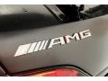 designo Selenite Grey Magno (Matte) - AMG GT C Coupe Photo No. 16