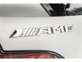 designo Iridium Silver Magno (Matte) - AMG GT C Coupe Photo No. 17