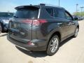 2018 Magnetic Gray Metallic Toyota RAV4 Limited AWD  photo #2