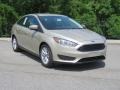 White Gold - Focus SE Sedan Photo No. 1
