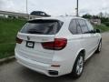 Alpine White - X5 xDrive35i Photo No. 3